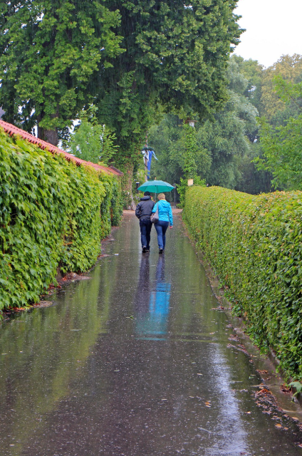 장마철 꼭 알아야할 생활 꿀팁 7가지