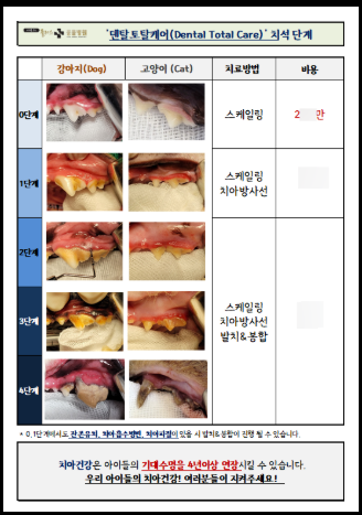 강아지 구강·치아관리부터 파생 합병증, 화식까지 한 번에 정리