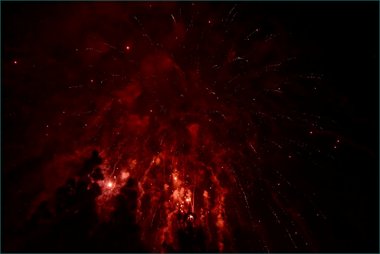 생생정보 가격파괴 why 돼지갈비