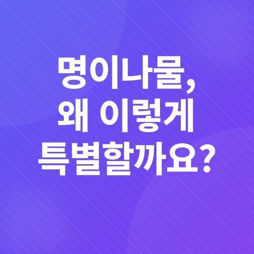 명이나물 장아찌 레시피_1