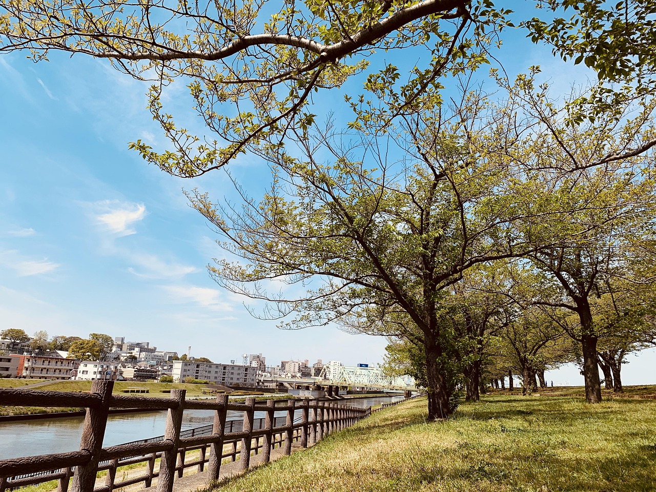 2026 수능 일정표