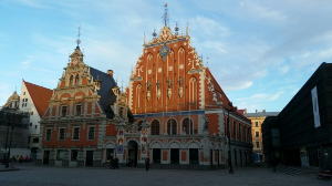 리가 검은머리정당