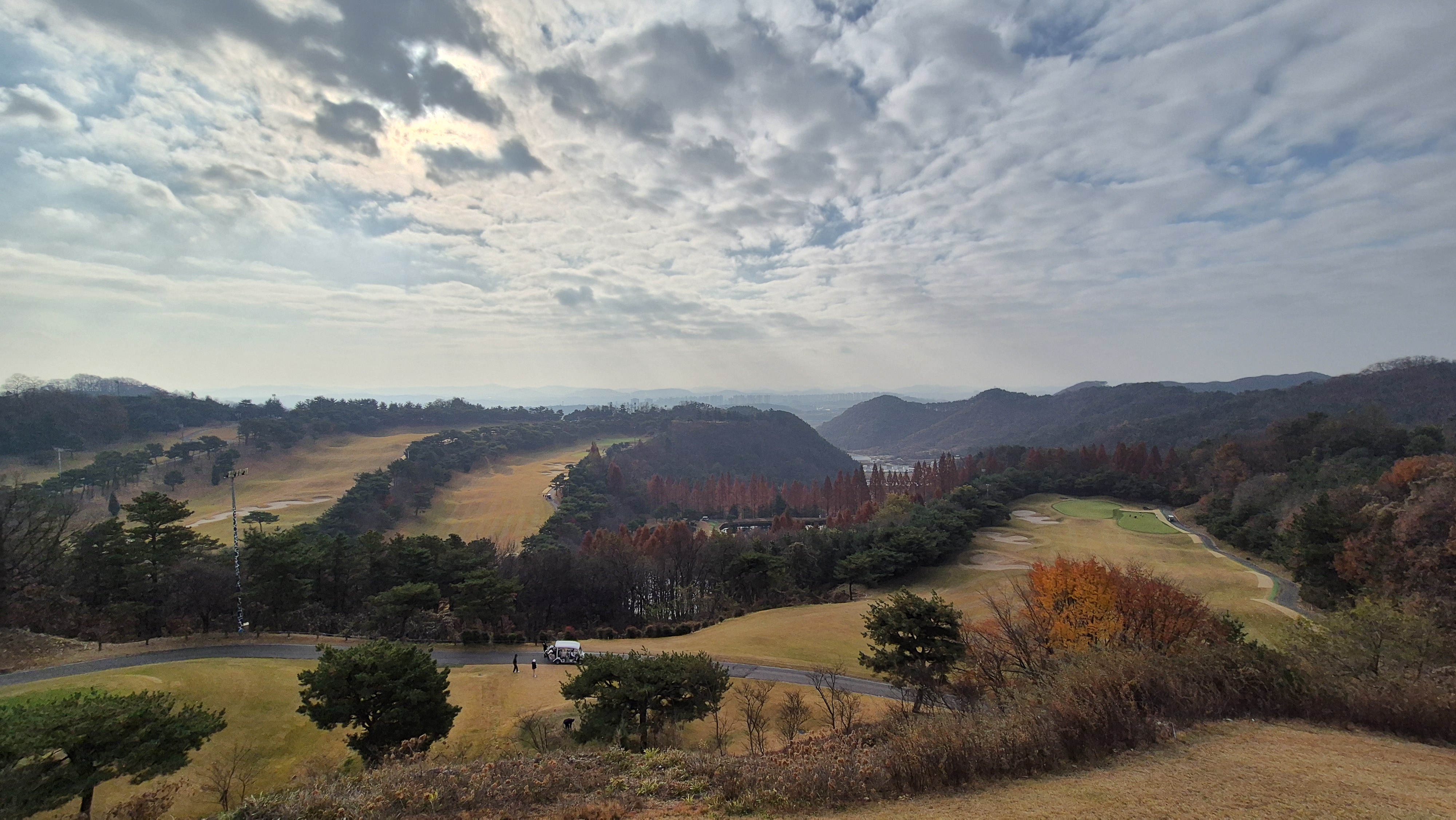 올데이 떼제베cc 가람-누리(서-남) 코스 라운드 후기