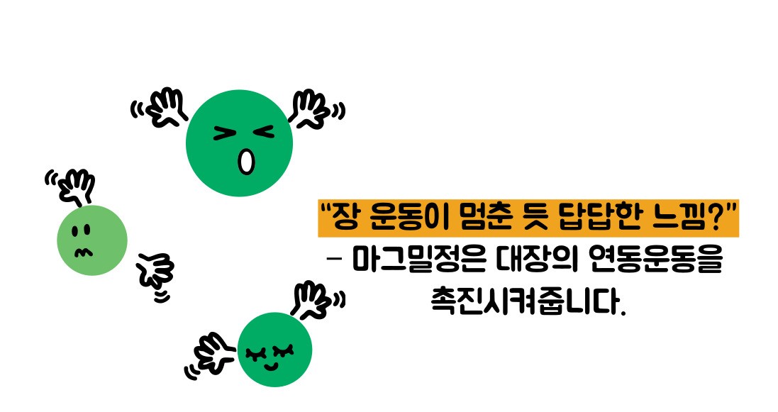 마그밀정 효능 부작용