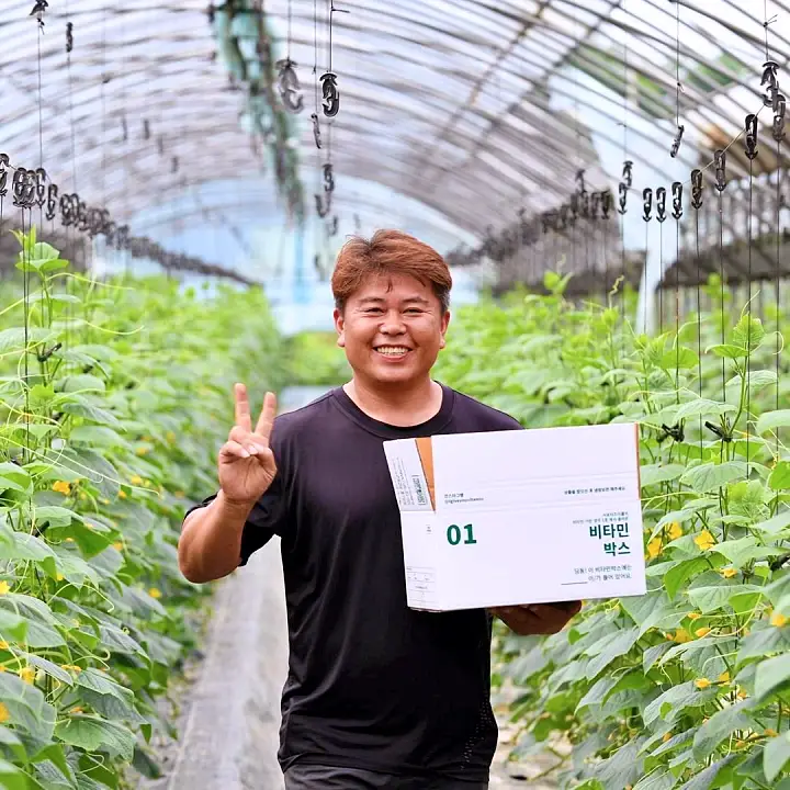생방송오늘저녁 경기 양주 쌈채소, 토마토, 고수 전국 택배 온라인 전화 주문 추천