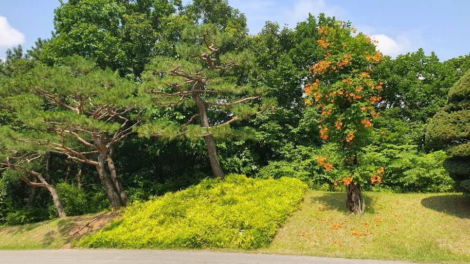 골프장 경험담 광주 더시에나서울cc 오랜 시간 수준 높은 명문의 자리를 지켜온 프레스티지 골프장