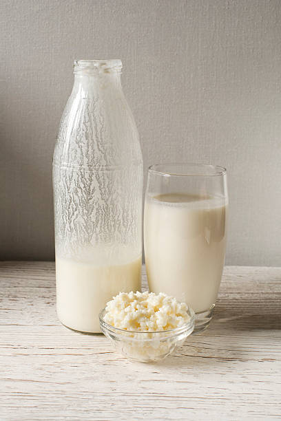 케피어(Kefir) 효능