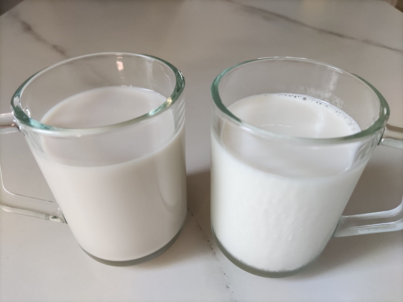 두유와 우유 비교 컵