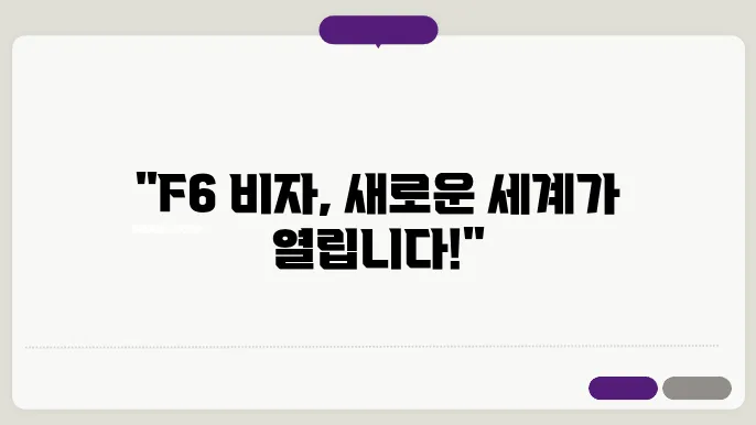 f6 비자 신청 경험담