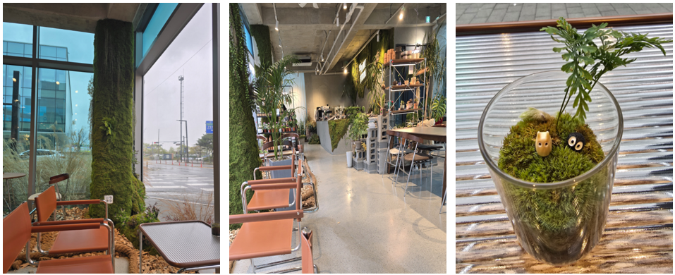 파주 식물 정거장 카페 내부 및 소품 사진