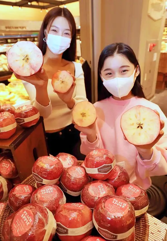 네모세모 복숭아, 호두, 곶감, 사과, 포도 재배 파는 곳 전국 택배 전화 판매