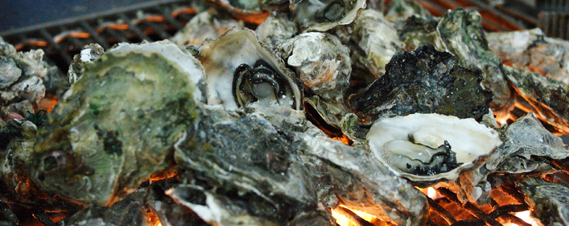 2023 보령 천북굴축제 천북굴단지 소개