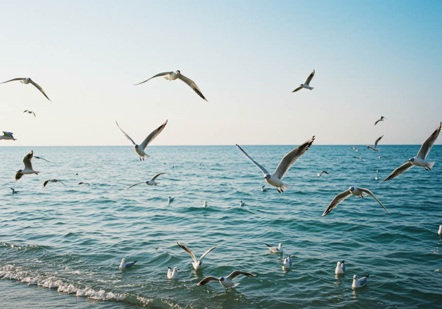 내면의 평화를 찾는 10분 명상