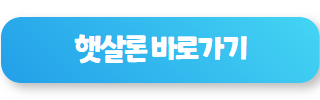 정부 지원 대출 햇살론