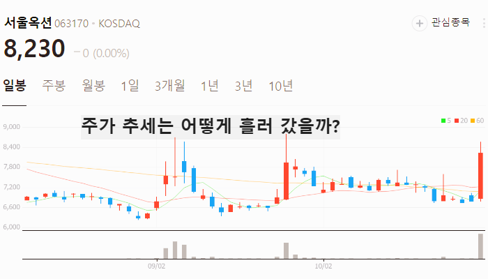 국내 비트코인 관련주 가상화폐 테마주 TOP5