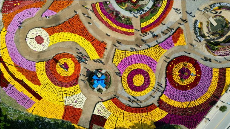 가을나들이 추천 인제가을꽃축제