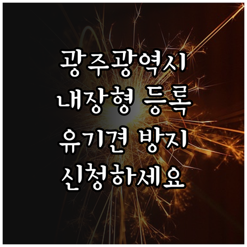 유기견 방지 2025 광주광역시 반려..