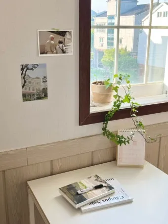 북향집 식물 선택 저조도관리 물주기 식물등 활용 방법_2