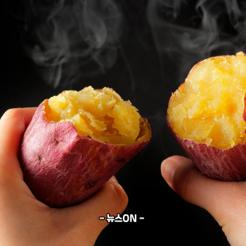 수능 전날 저녁식사