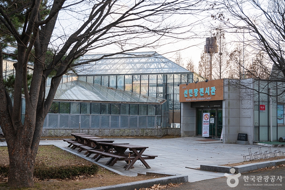 선인장전시관02