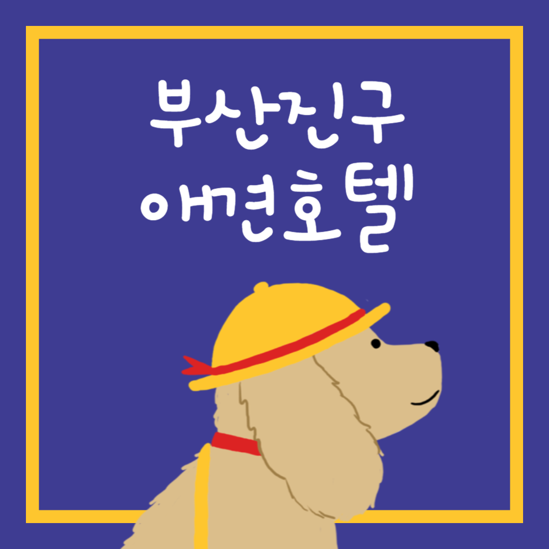 부산진구 애견호텔