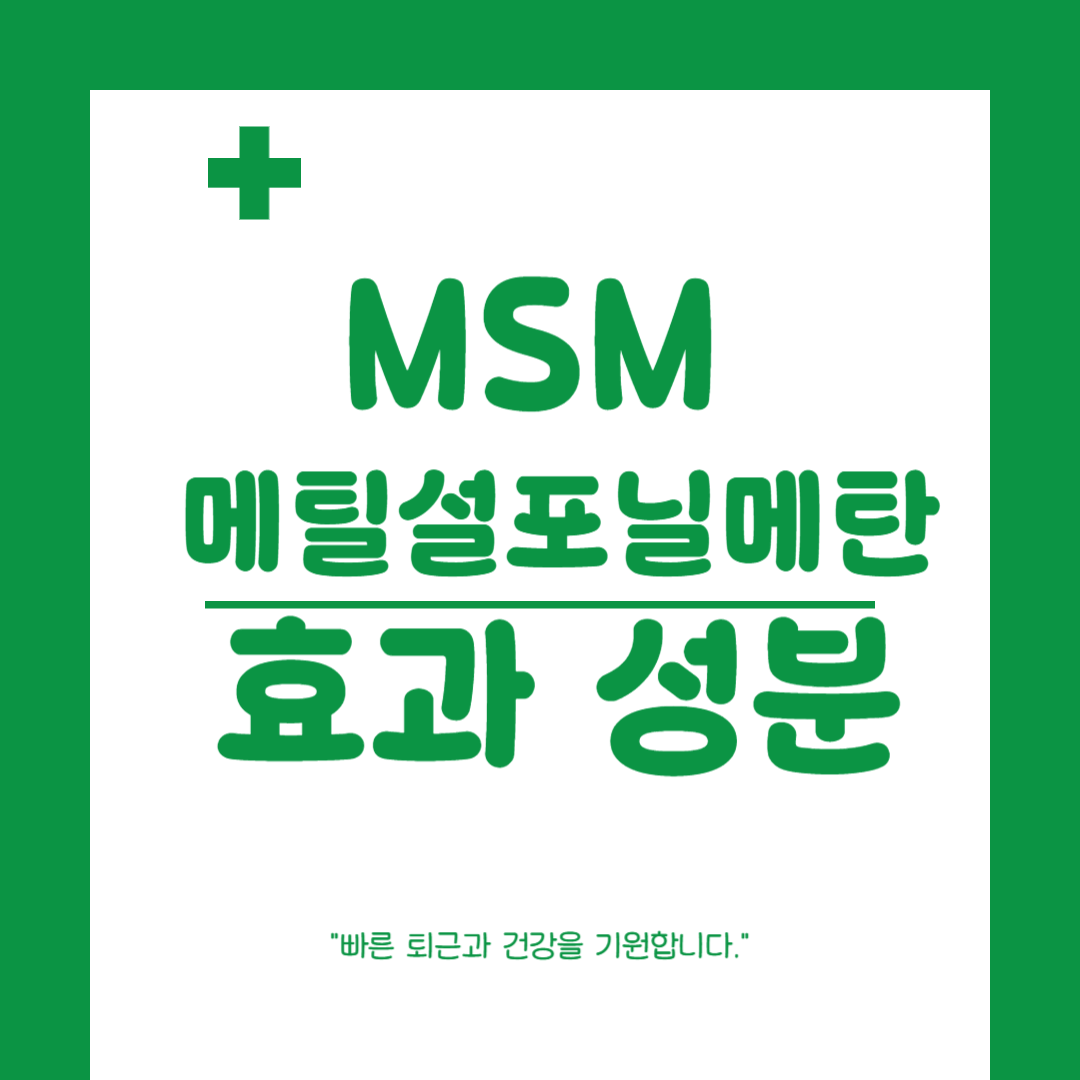 강력 황산화 MSM 메틸설포닐메탄- MSM 성분, MSM 효능 5가지, 영양제 추천까지!