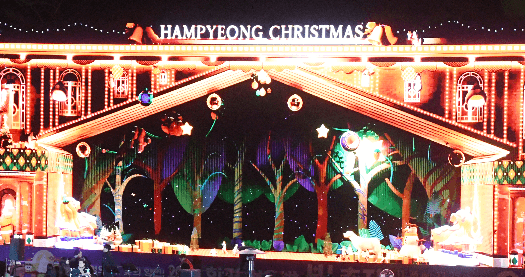 2025 함평 겨울빛축제