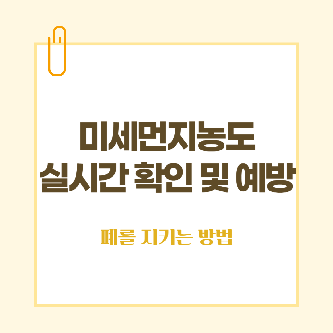 전국미세먼지 농도 실시간 확인법 및 황사로 부터 살아남기