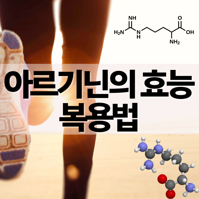 아르기닌의 효능 부작용