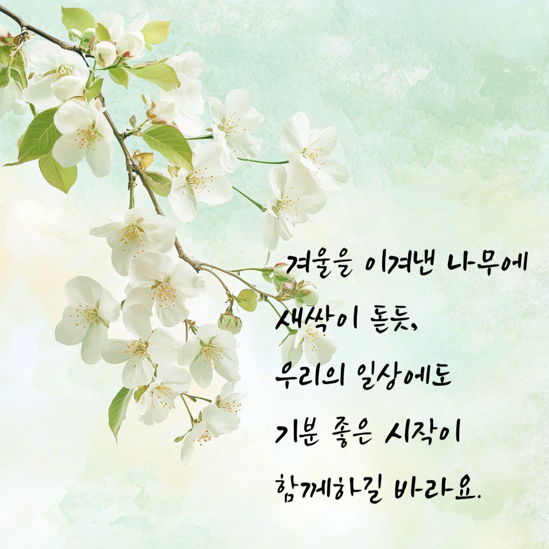 봄 인사 이미지