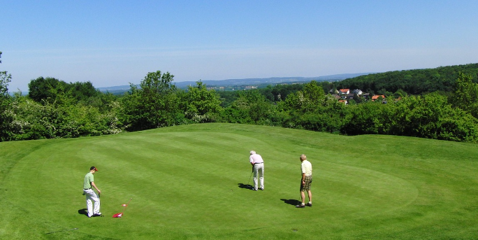 골프 관련 사진