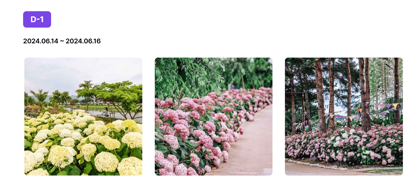 충청도 6월 축제