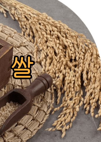 혈당_GI지수_낮은_ 쌀