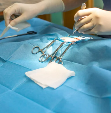 강아지 중성화 수술 시기와 필요한 이유 7가지