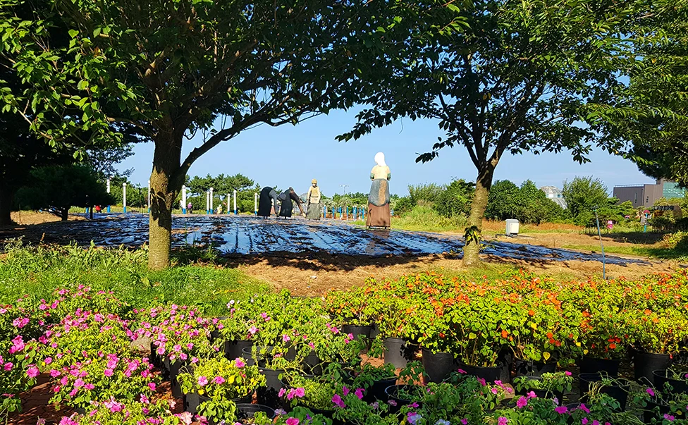 제6회 2023 태안 가을꽃박람회