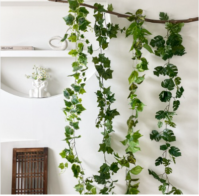 실내 공기정화 대표적인 반려식물