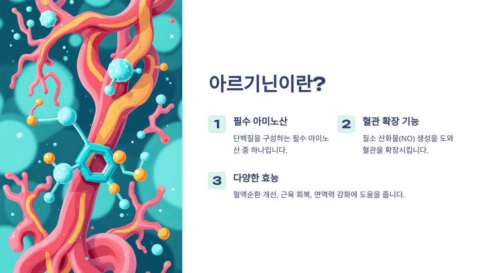 아르기닌이란?
