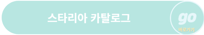 스타리아(하이브리드, LPG) 가격표, 중고차 가격, 캠핑카
