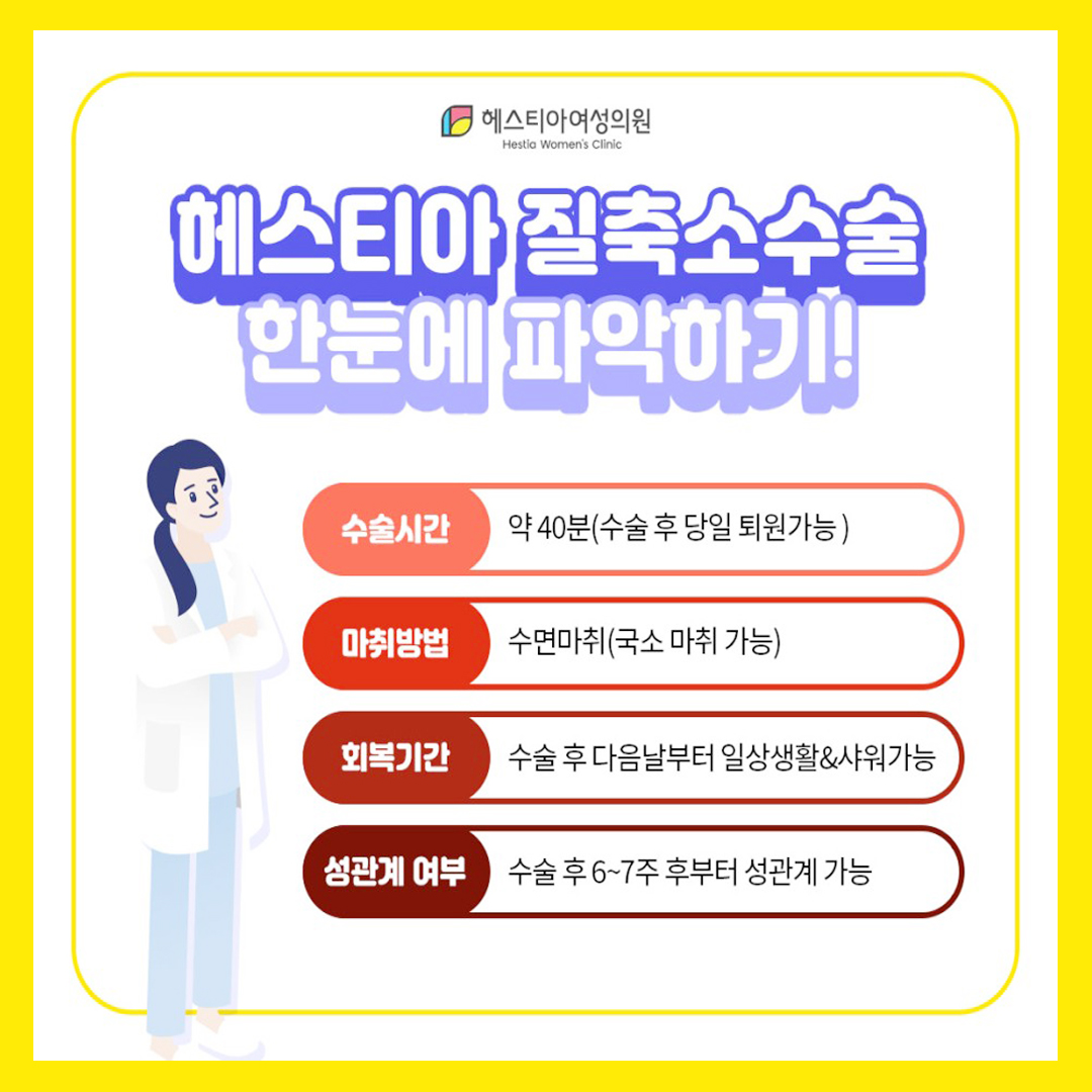 헤스티아 질추소수술 한눈에 파악하기