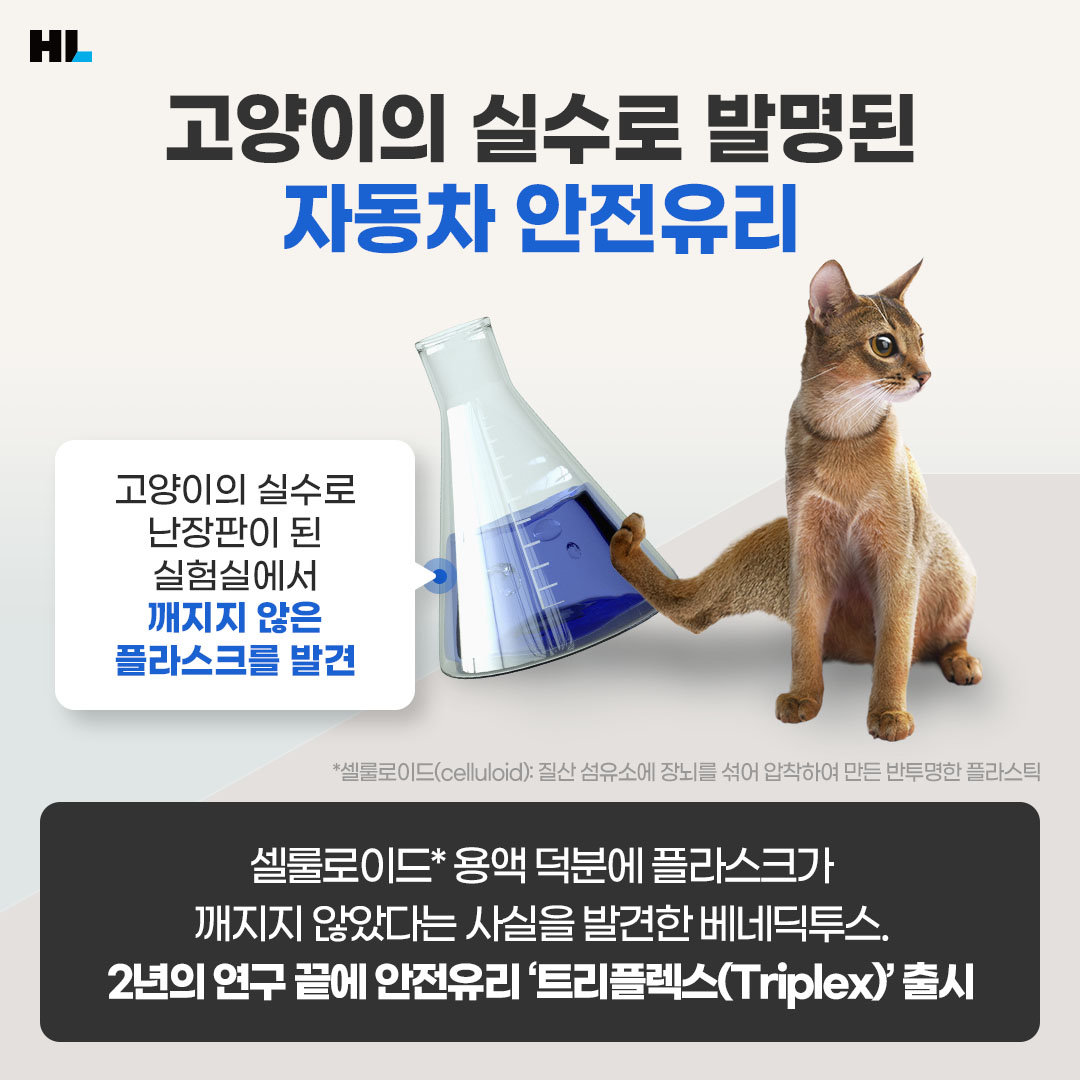 고양이의 실수로 발명된 자동차 안전유리
고양이의 실수로 난장판이 된 실험실에서 깨지지 않은 플라스크를 발견
셀루로이드 용액 덕분에 플라스크가 깨지지 않았다는 사실을 발견한 베네딕투스.
2년의 연구 끝에 안전유리 '트리플렉스(Triplex)' 출시