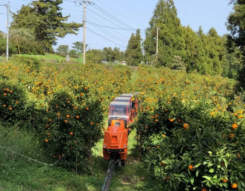 제주도-아이들과-가볼만한-놀거리-모노레일-감귤밭을-지나간다