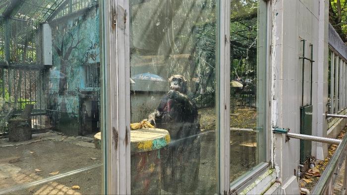 사이공동식물원11