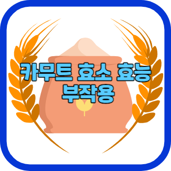 카무트 효소 효능 부작용