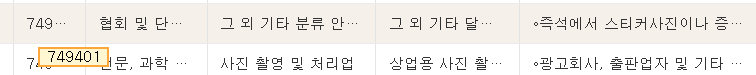 즉석 사진 인화 관련 등의 사업