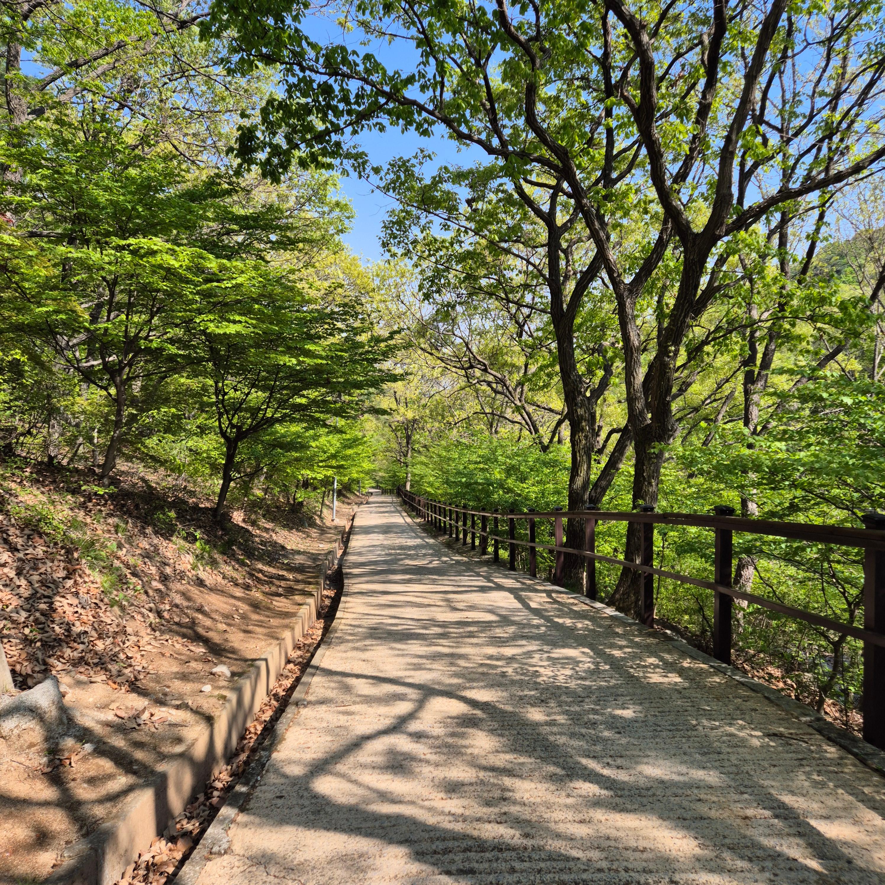 마니산 입장료, 마니산, 마니산 등산, 마니산 등산로, 강화도 마니산, 강화 마니산, 함허동천, 함허동천로, 마니산 함허동천로, 마니산 험허동천, 마니산 계곡로, 마니산 단군로, 마니산 주차장