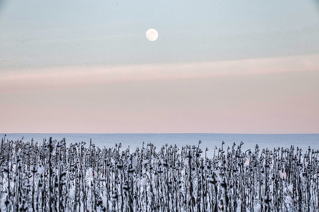 수요 예배 대표 기도문