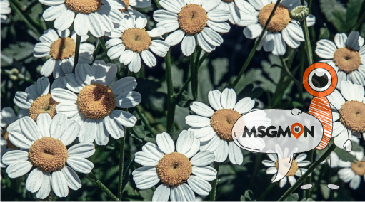 딥티슈마사지의 효과는?