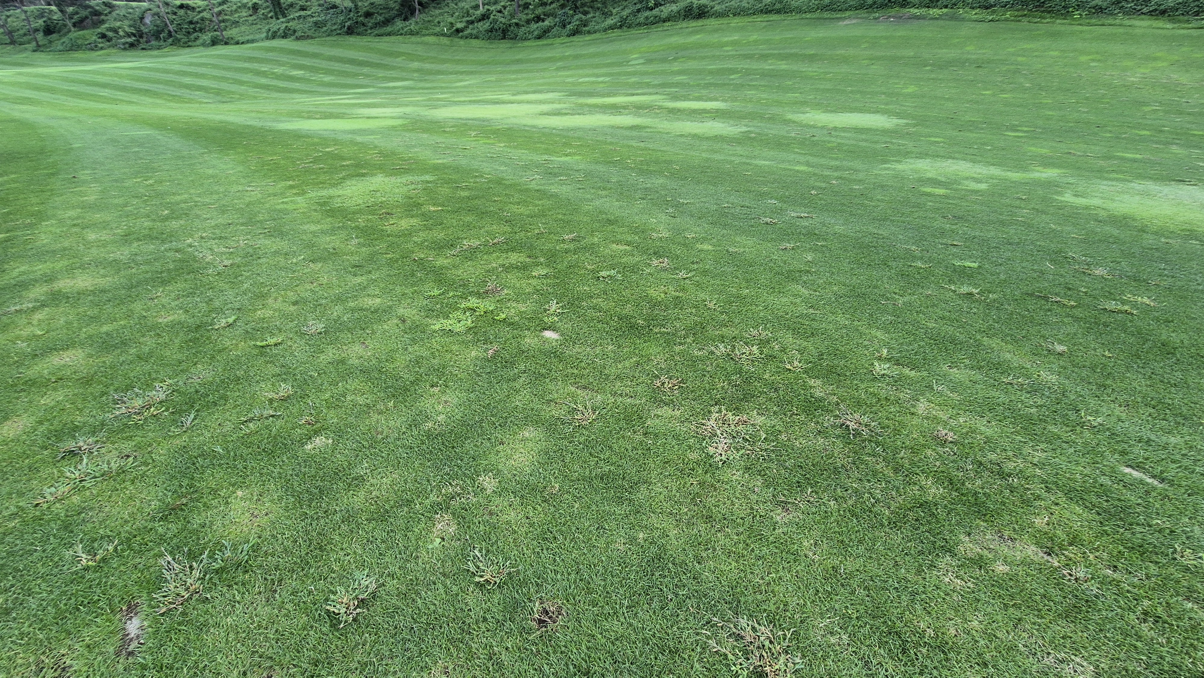 마론cc 라운드 후기