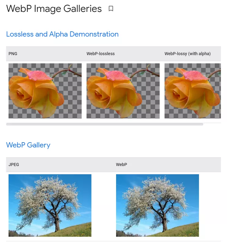 WebP 변환 예시 이미지. 출처: WebP Google Homepage