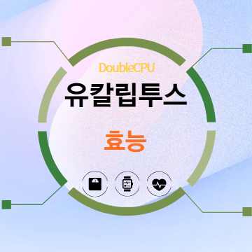 유칼립투스 효능 탐구